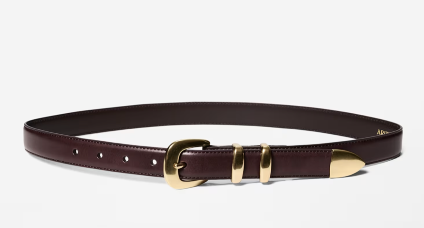 Aritzia Legendary Solid Brass Leather Belt