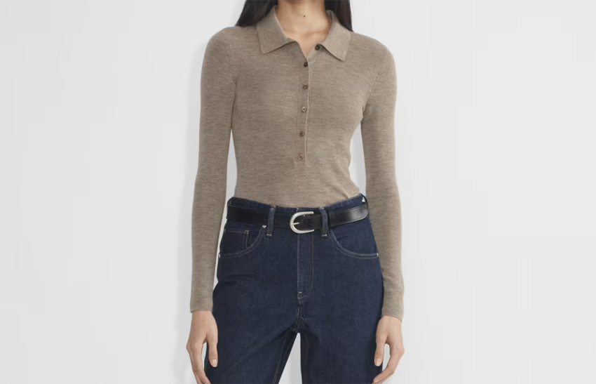 Aritzia Clarette Merino Wool Polo Sweater