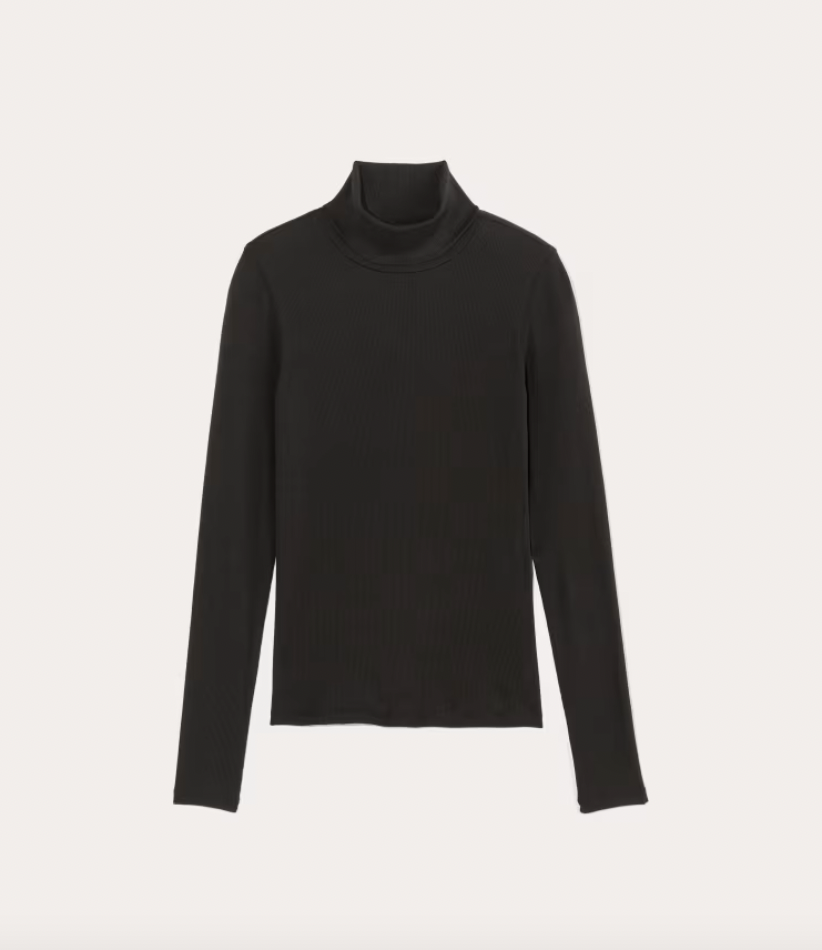 Everlane The Luxe Rib Turtleneck