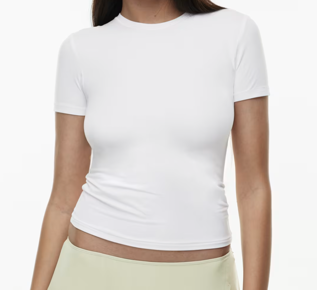 Aritzia Emmer T-Shirt 