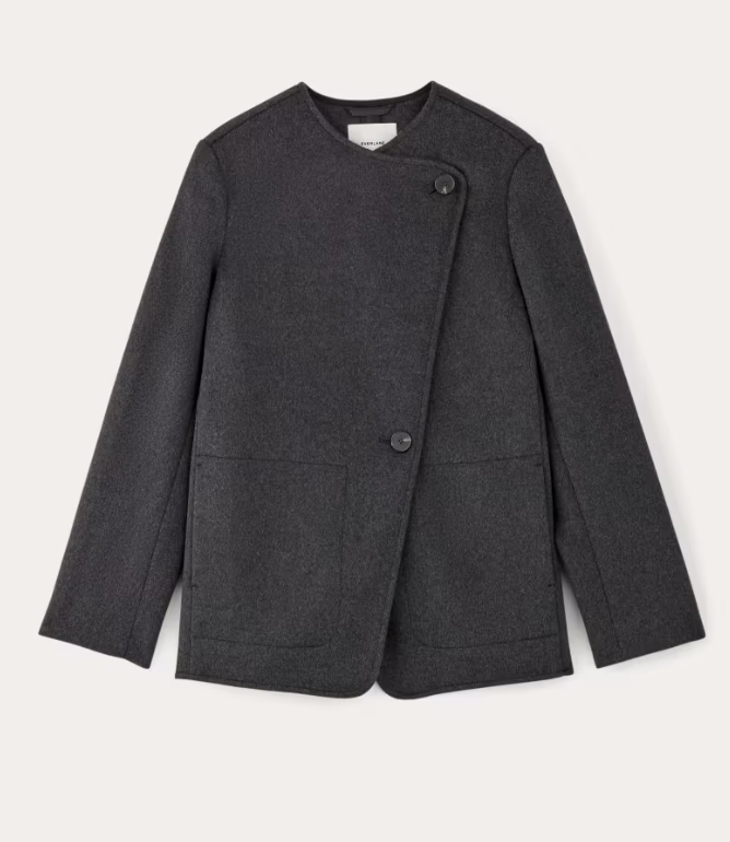 Everlane The October Coat