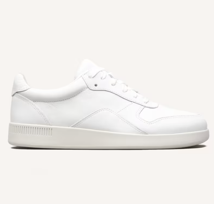 Everlane The Court Sneaker 