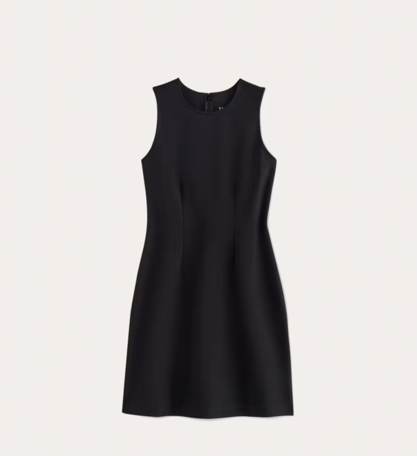 Everlane The Dream 90's Shift Dress 