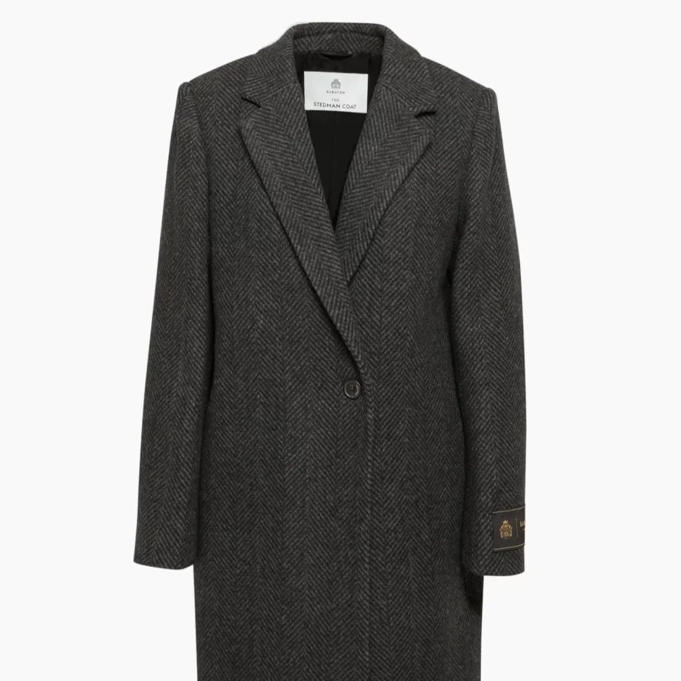 Aritzia The New Stedman Coat 