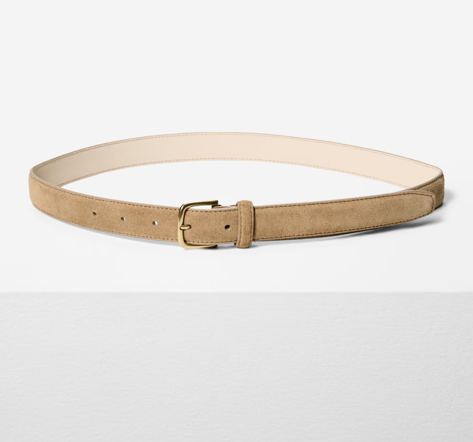 Aritzia Essential Solid Brass Suede Belt 
