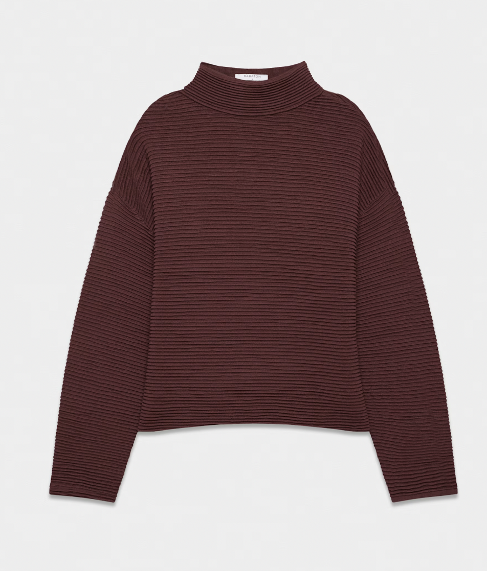 Aritzia Ambrosio Turtleneck