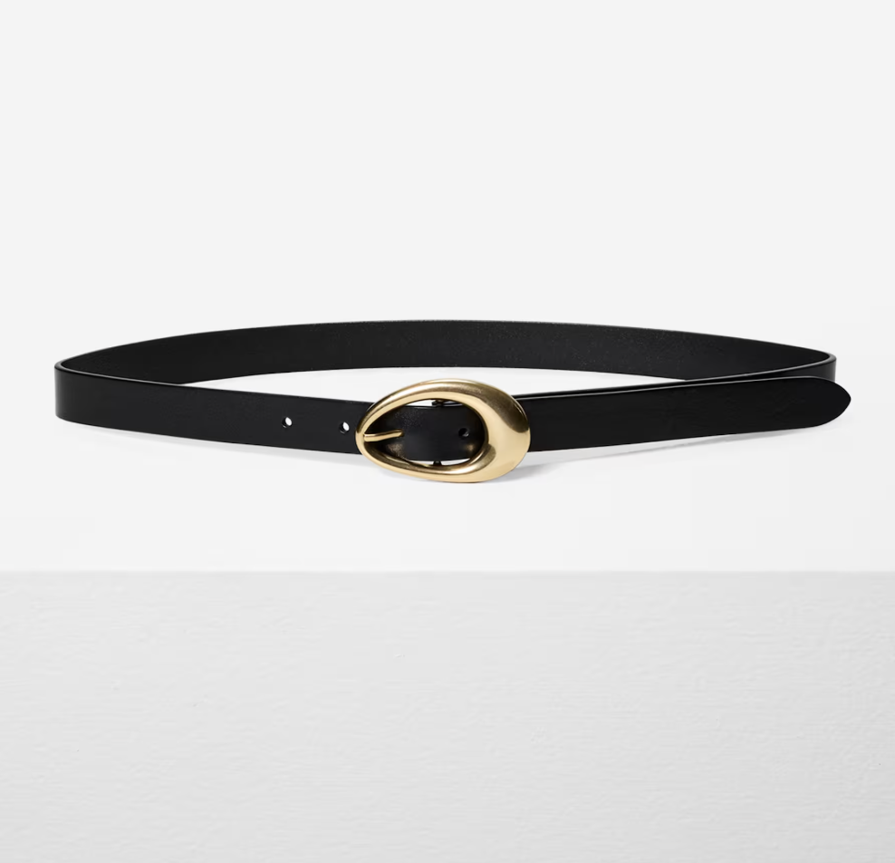 Aritzia Perennial Solid Brass Leather Belt