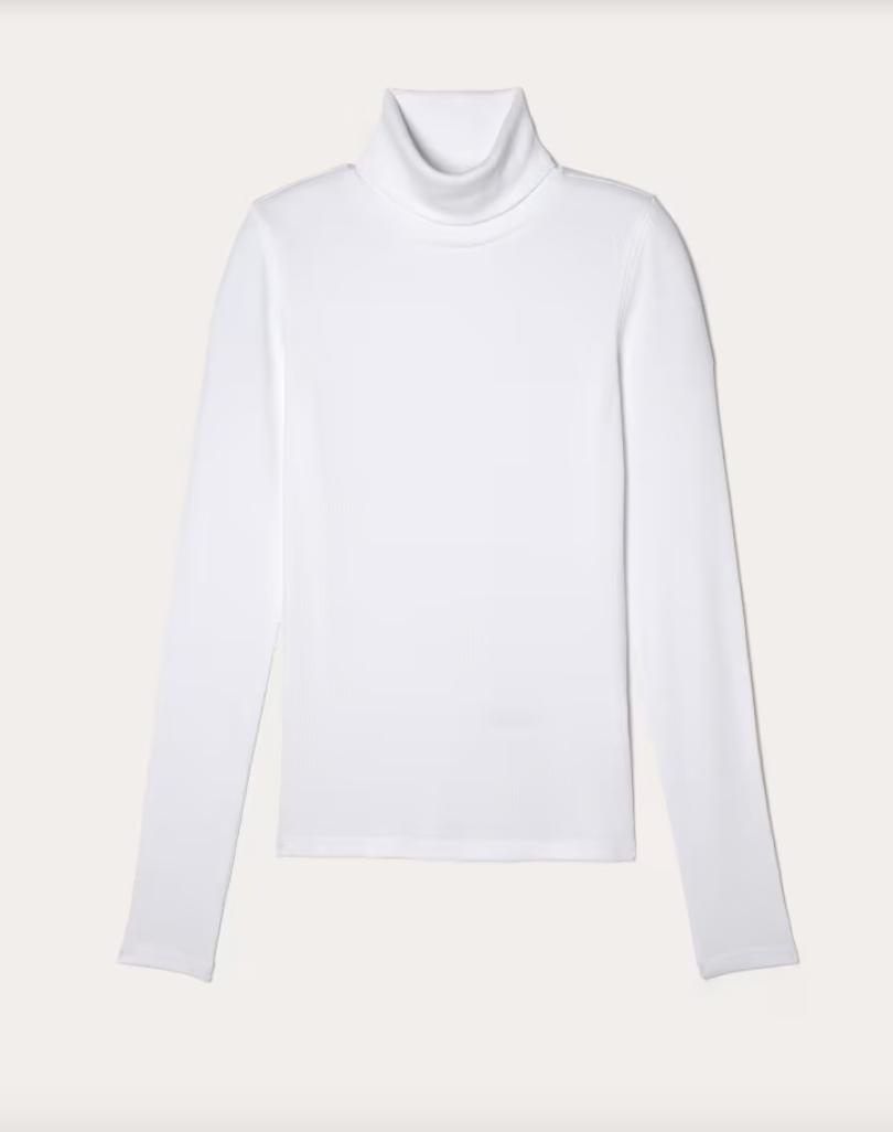 Everlane The Lux Rib Turtleneck