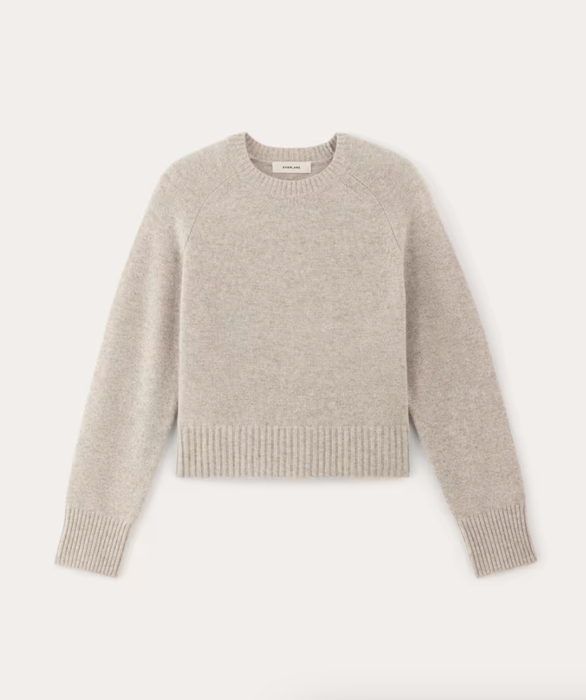 Everlane The Boxy Crew in Cashmere