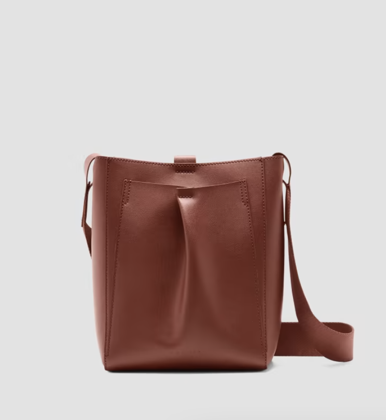 Everlane The Mini Studio Bag