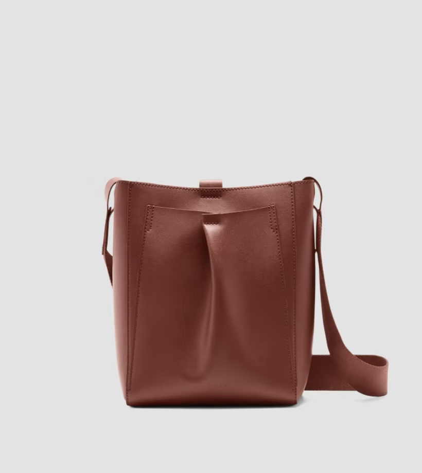 Everlane The Mini Studio Bag