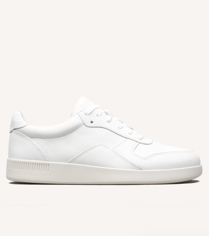 Everlane The Court Sneaker 