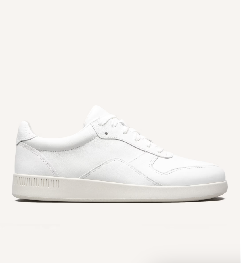 Everlane The Court Sneaker 