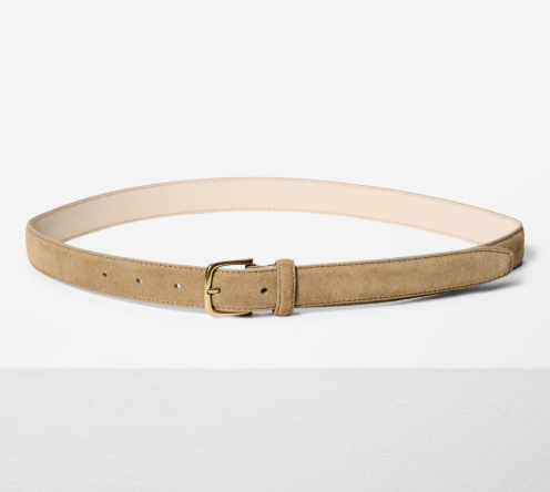 Aritzia Essential Solid Brass Suede Belt 