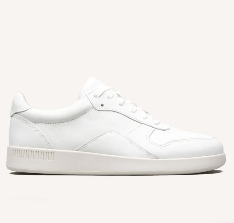 Everlane The Court Sneaker