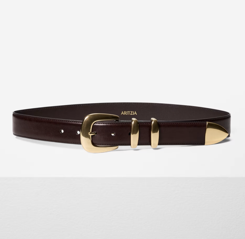 Aritzia Legendary Solid Brass Leather Belt