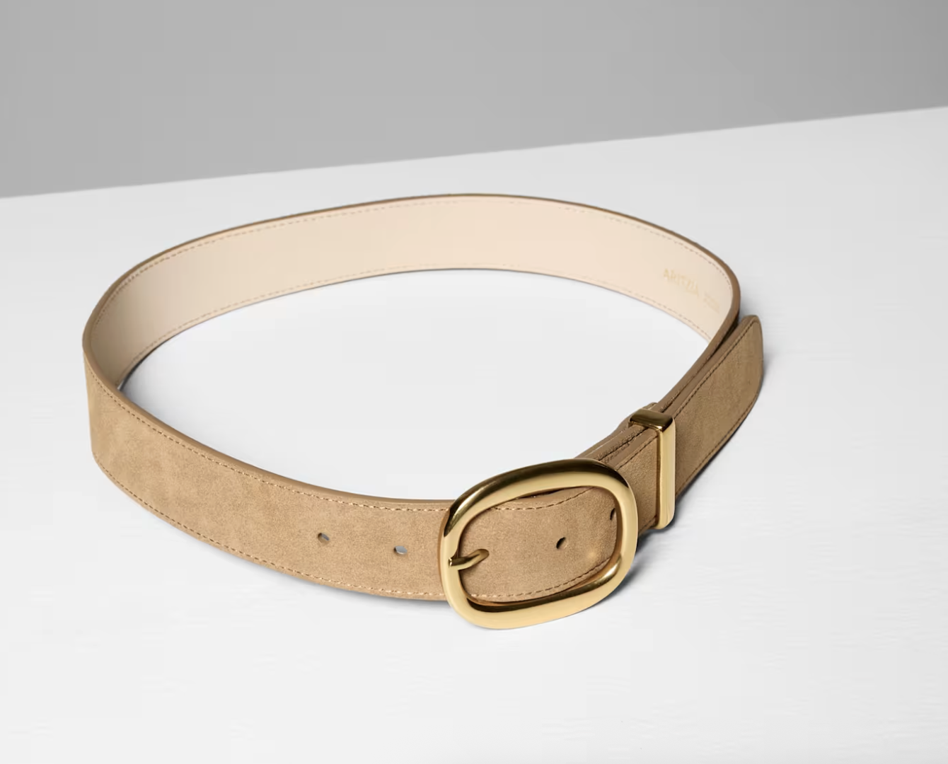 Aritiza Lifetime Solid Brass Suede Wide Belt