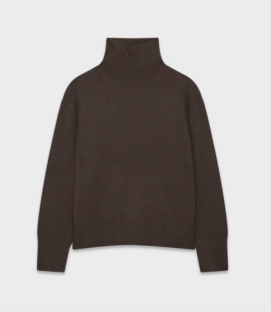 Aritzia Plush Cashmere Oversized Turtleneck