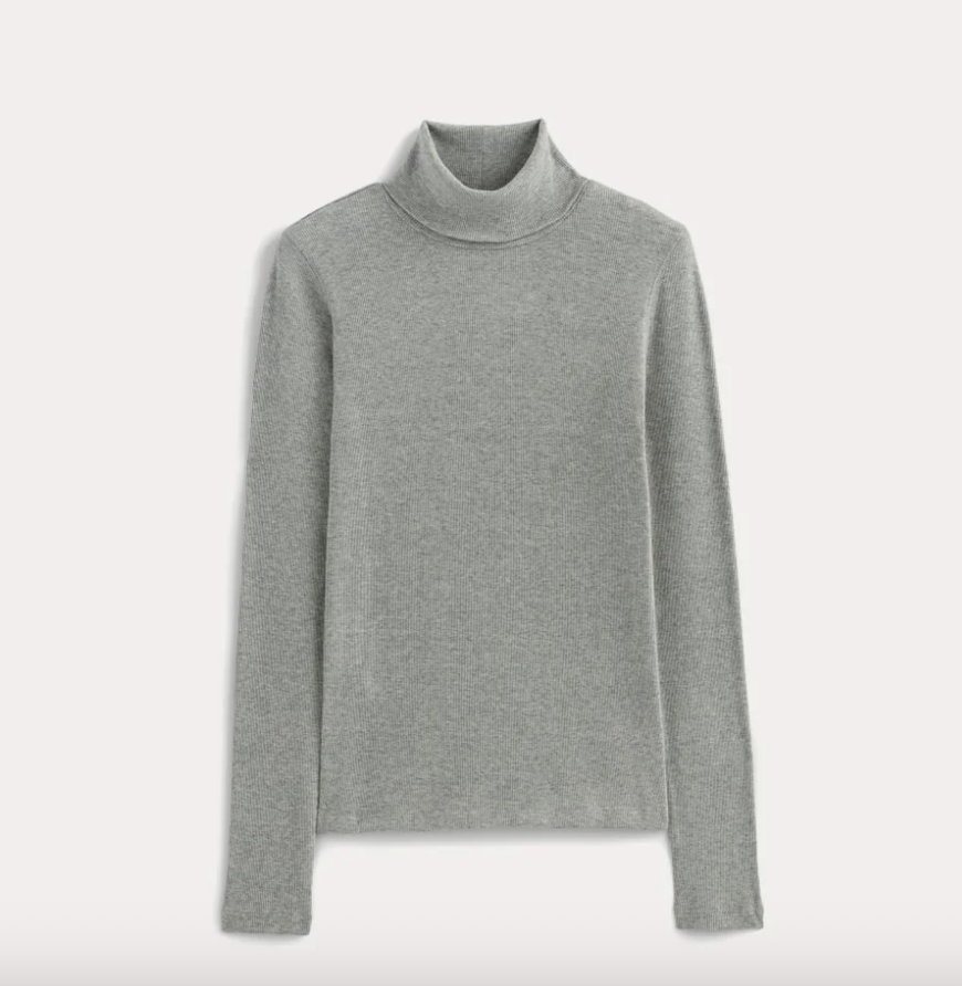 Everlane The Lux Rib Turtleneck