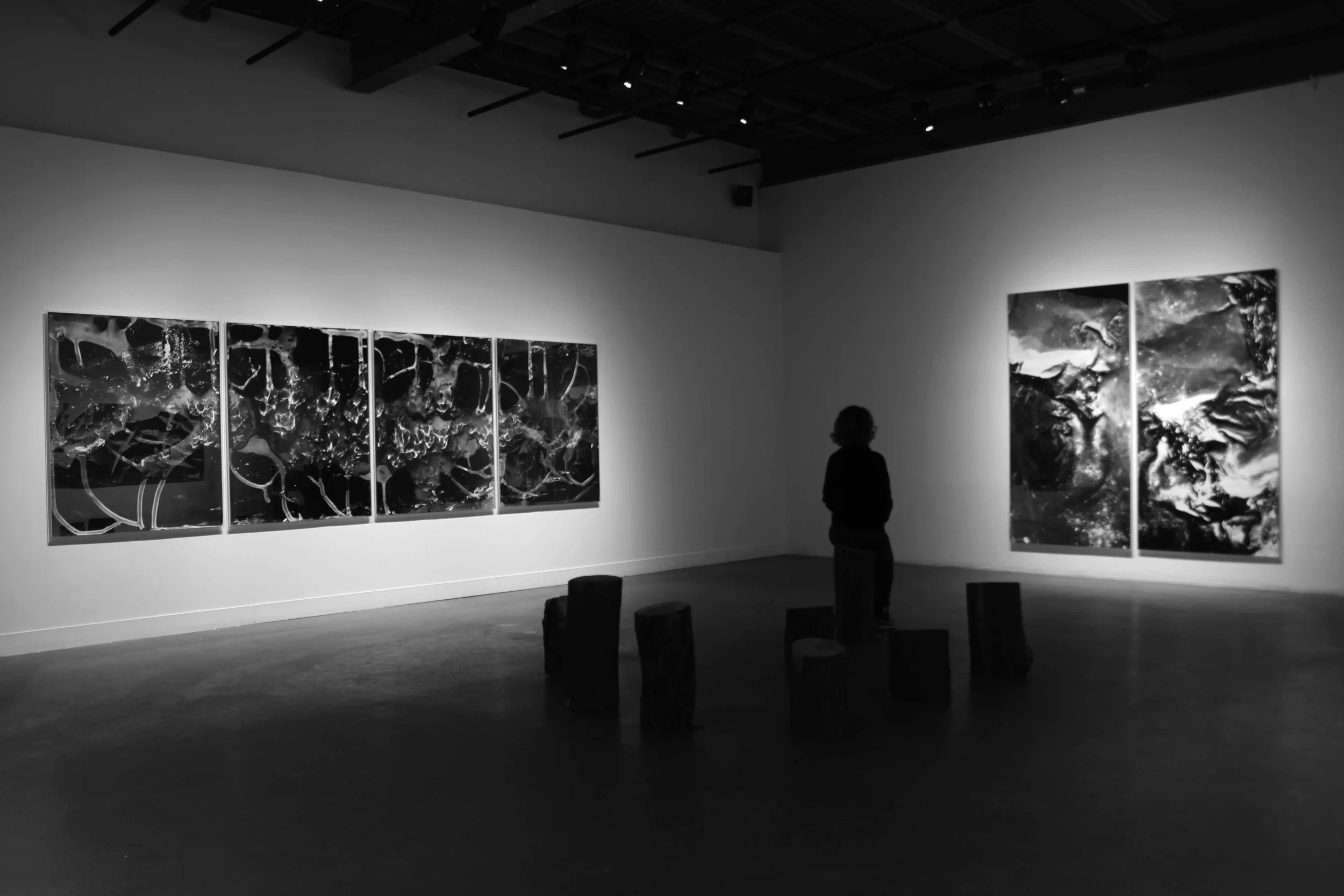 Installation of works in Nuits Sauvages, 2013.