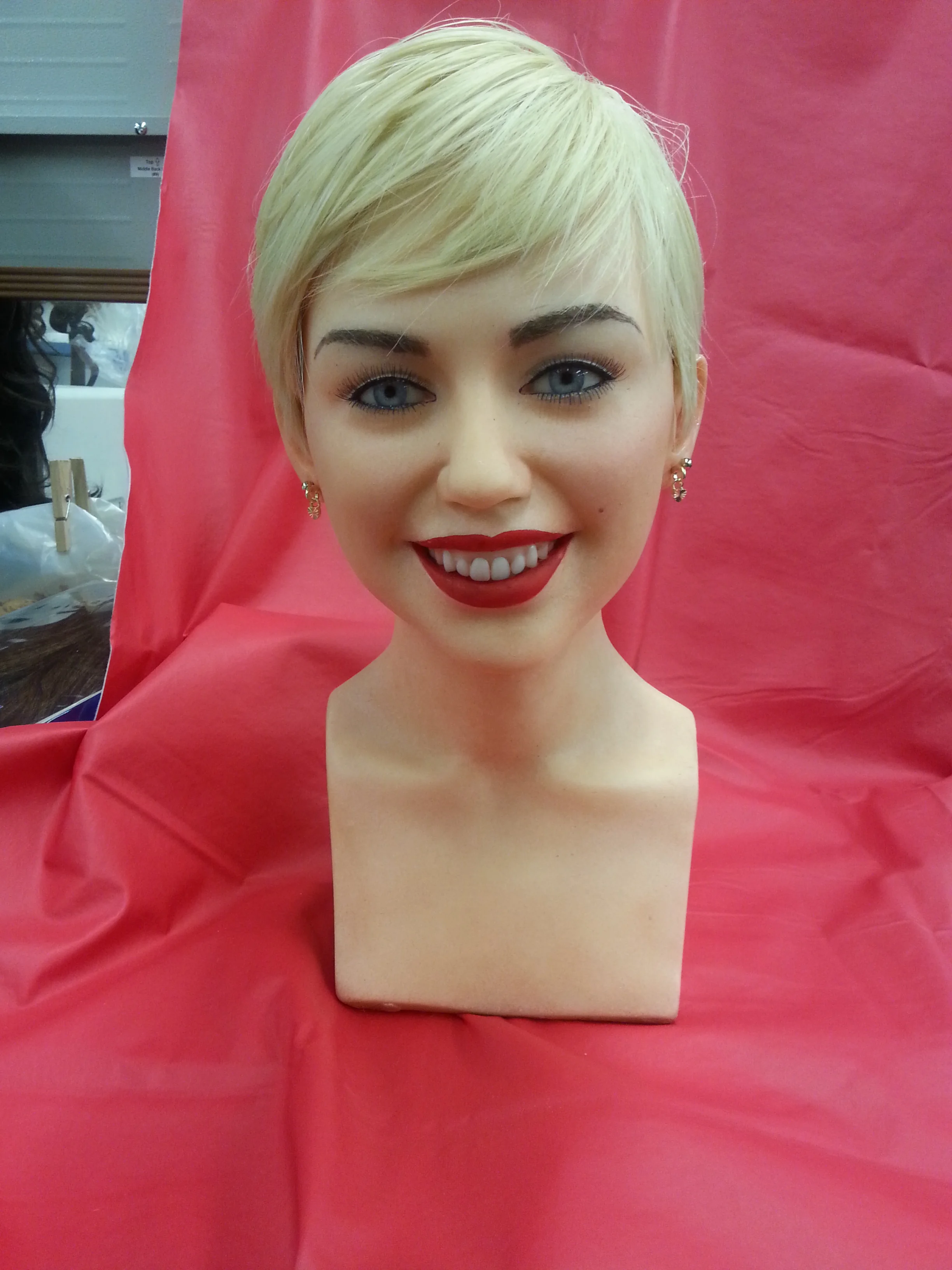 Wax Bust Painting