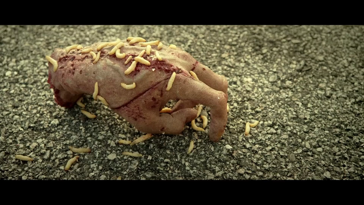 Silicon Hand / Paint 