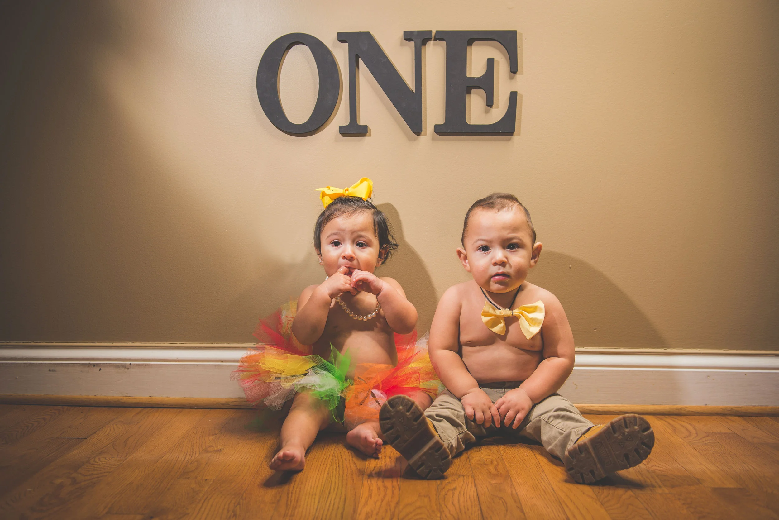 Twins 1 Year Old-8064.jpg
