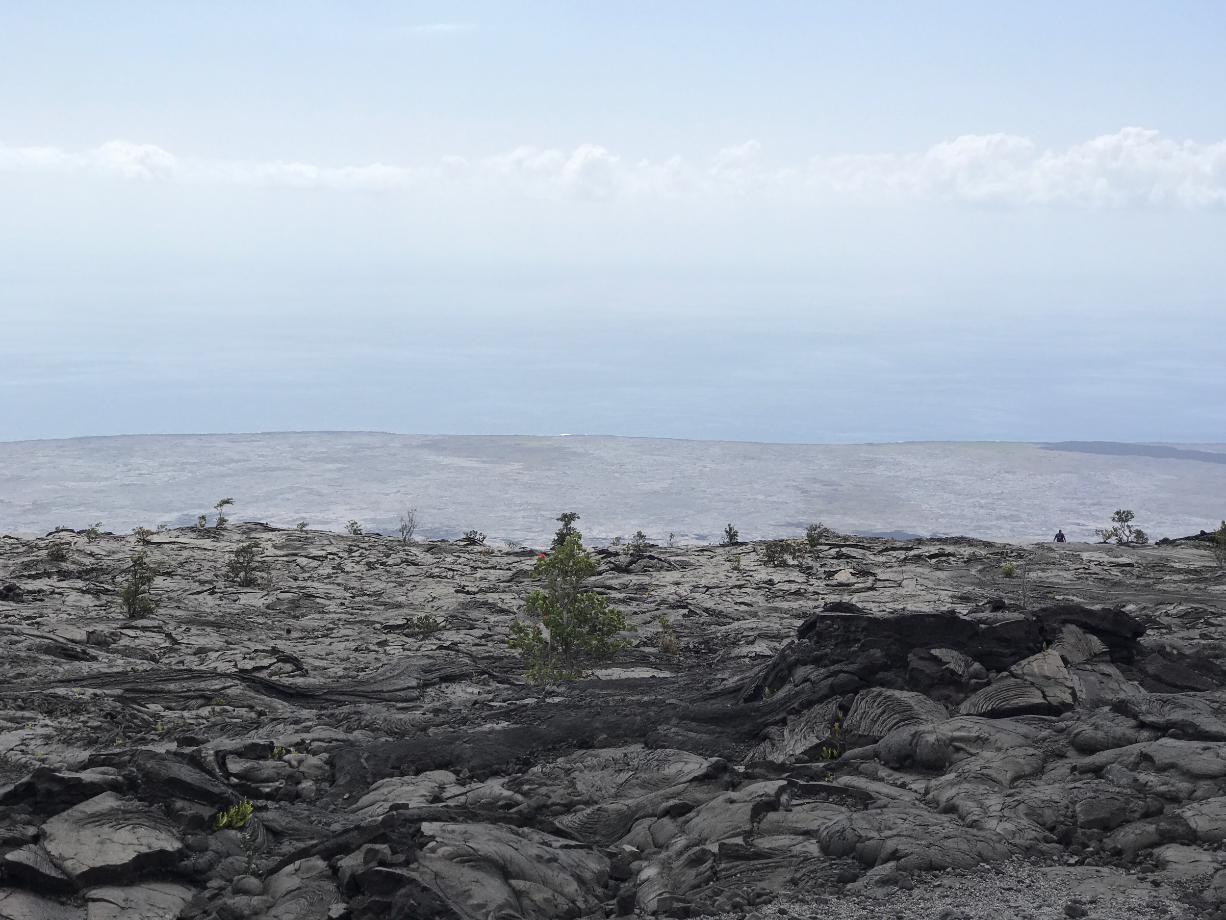 Above the Hilani Pali, Kilauea, Hawaii