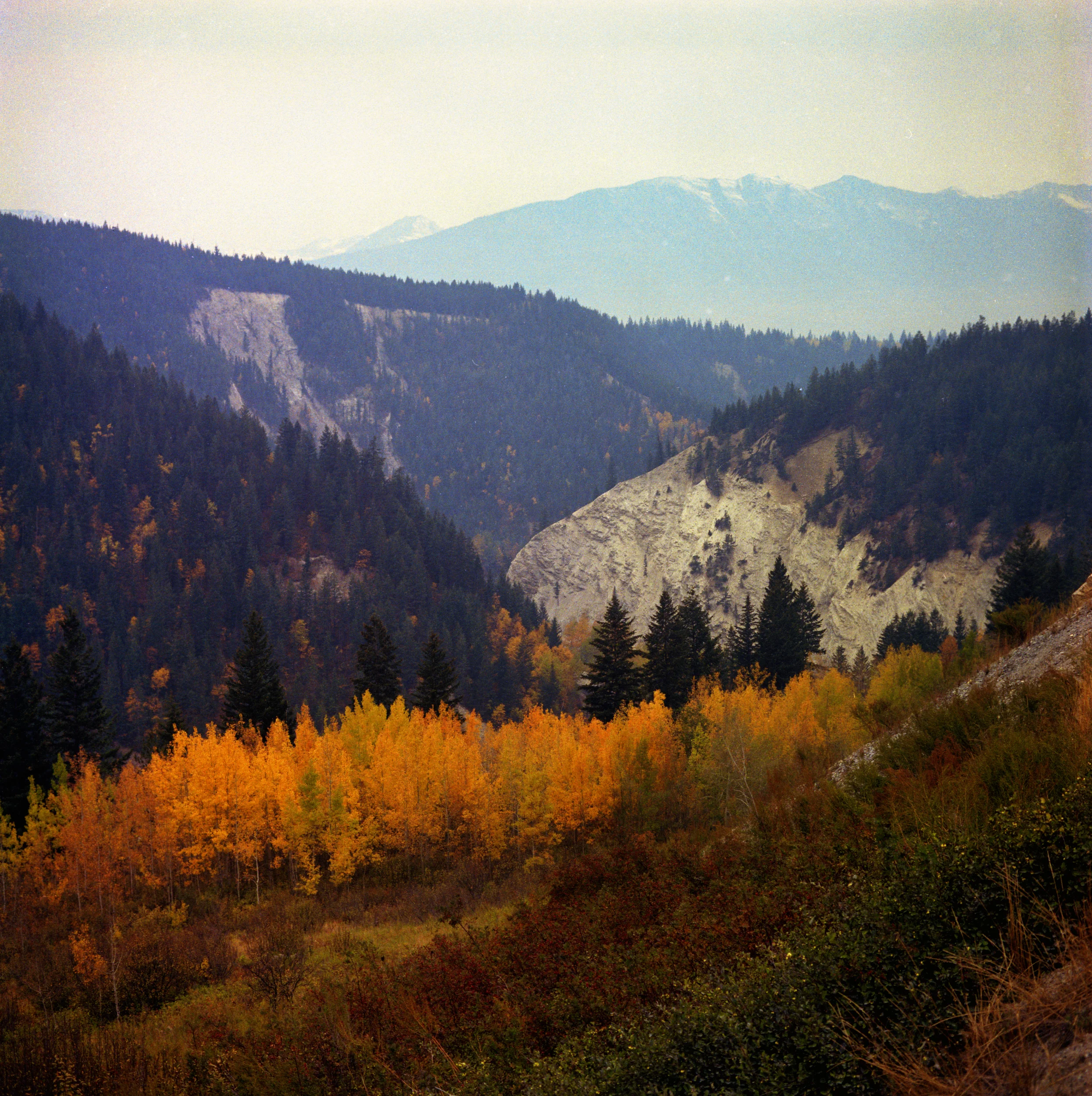 Autumn in Canadian Rockies, Rolleiflex TLR, 2.8 Planar, Ektacolor, 1974