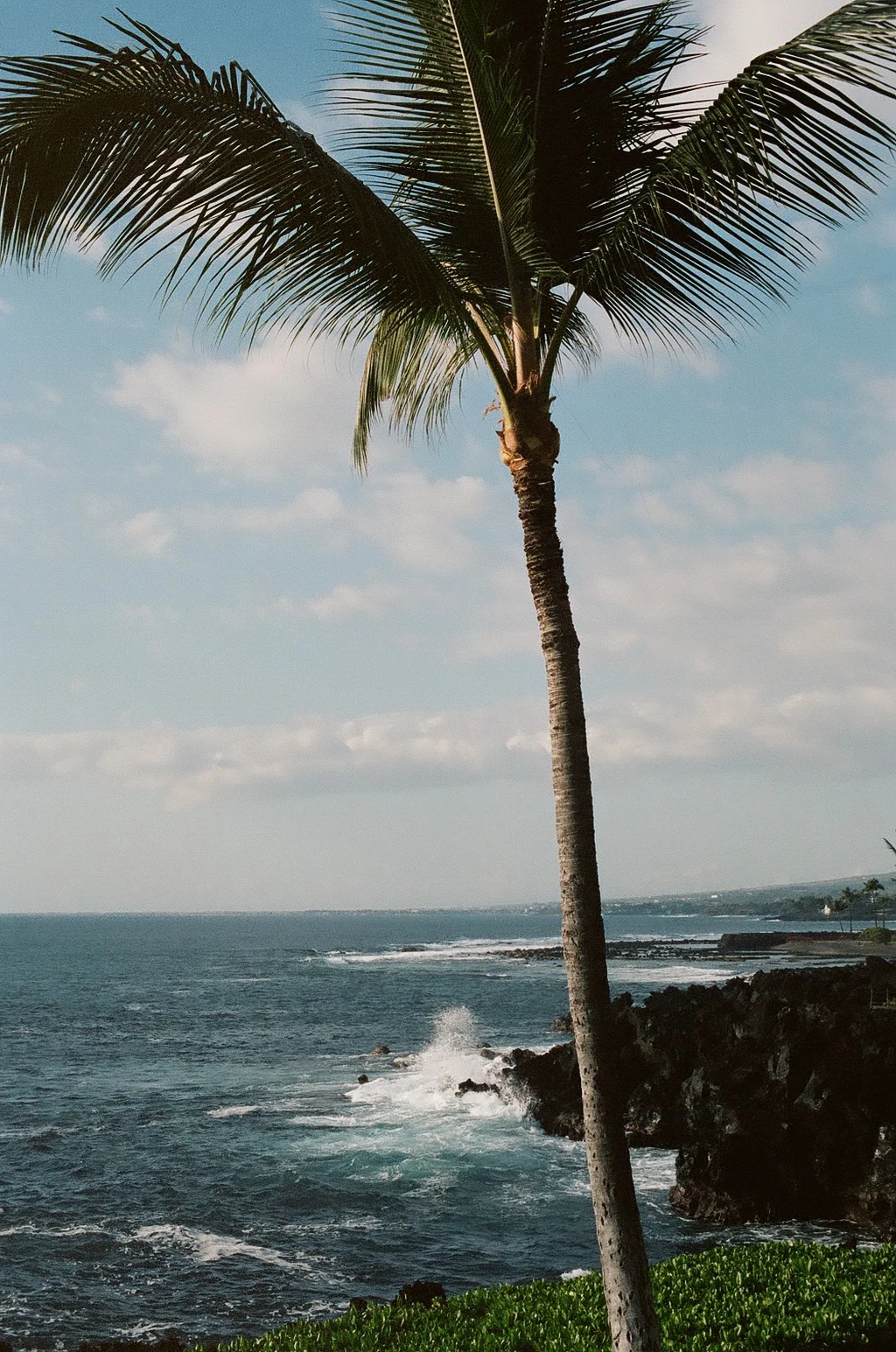 Kona Coast, Nikon FM-50mm f1.4, Portra 400, 2016