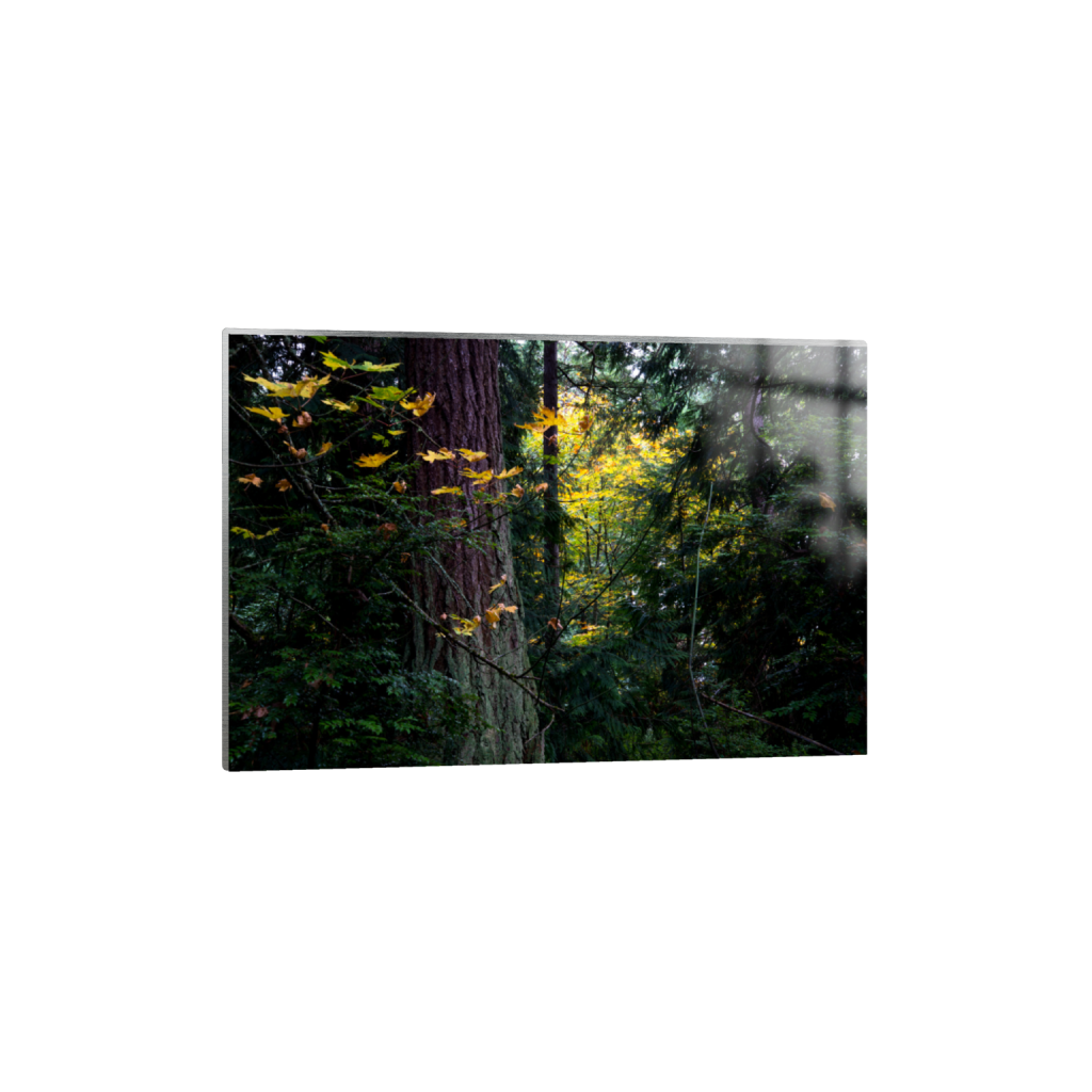 ptq_13_3_0_2_6016_4010_0_false_ffffff_0_0_.png