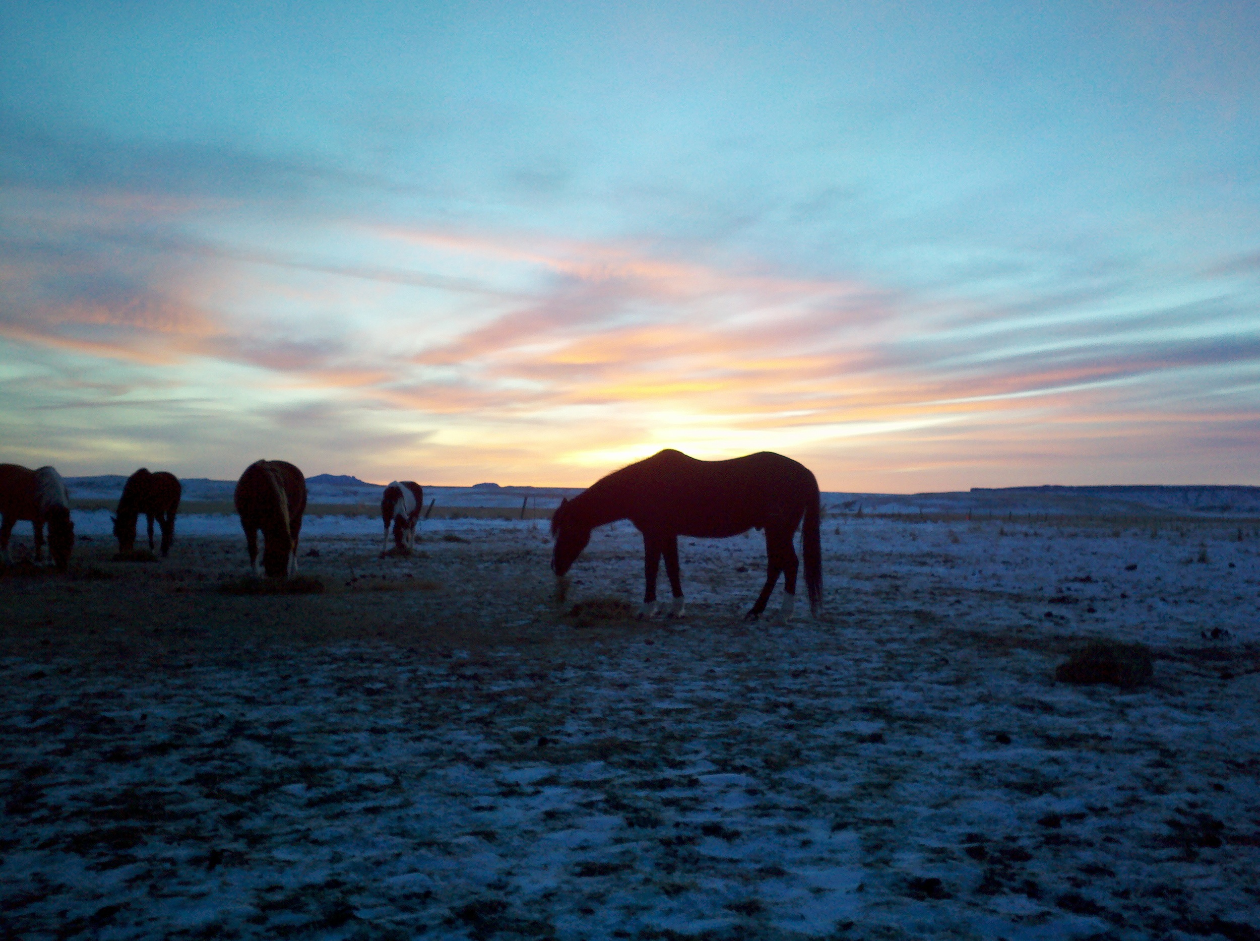 2013-01-03 17.00.56.jpg