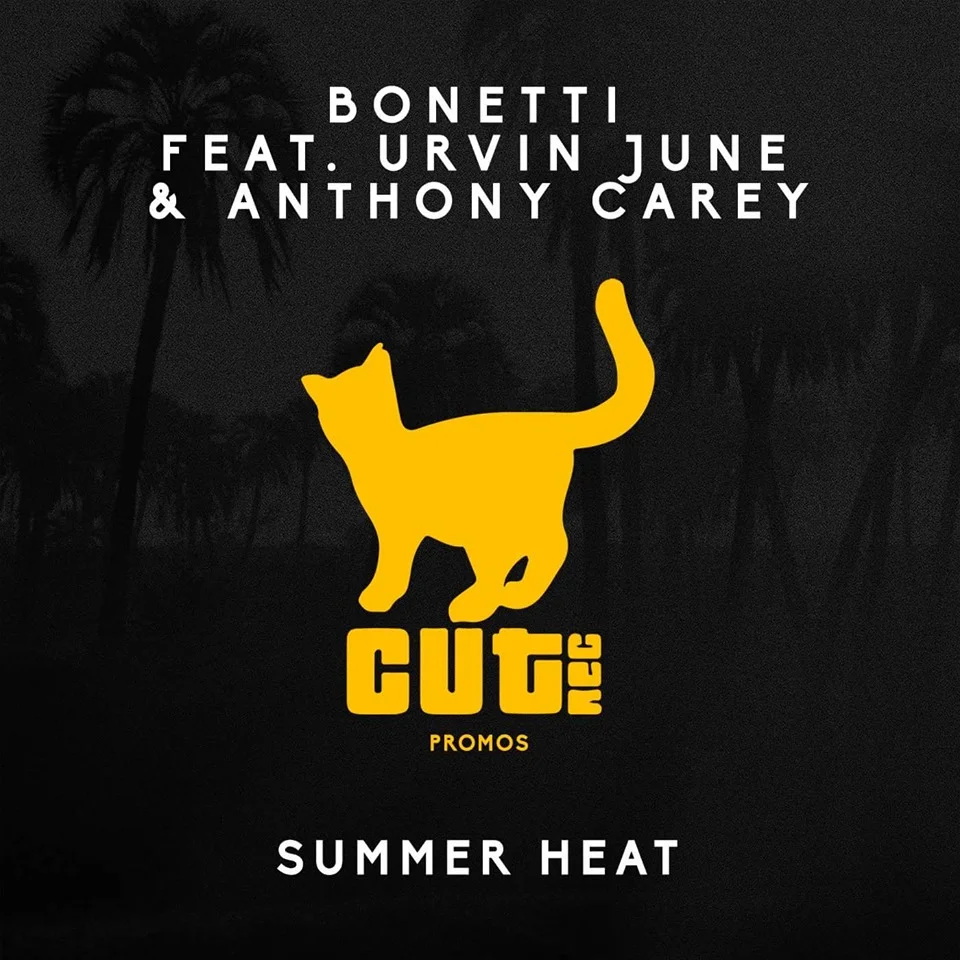 Summer Heat Traxsource Promo.jpg