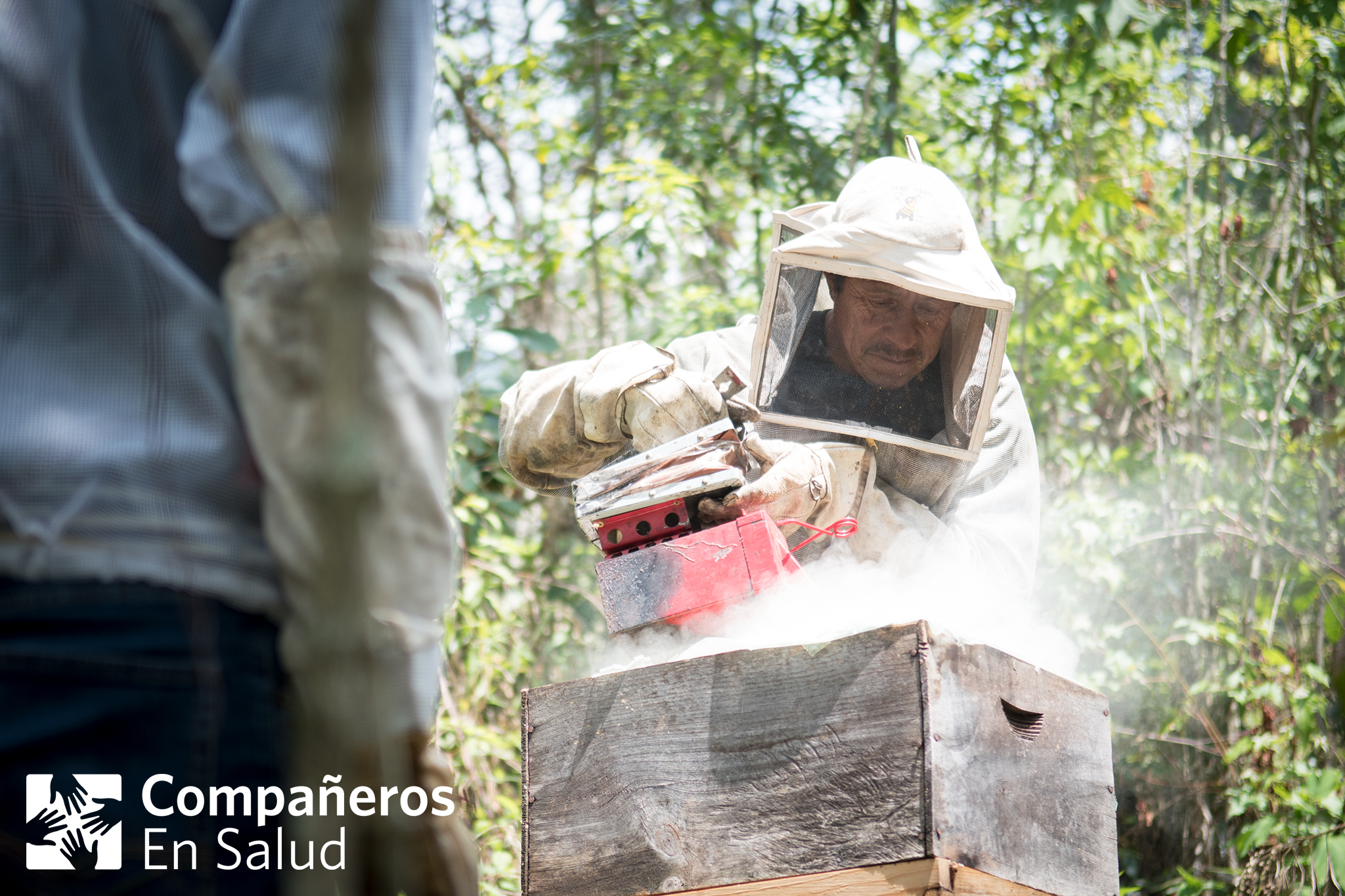  Don Ramiro, uno de los anfitriones de los estudiantes de medicina visitantes, les muestra el proceso de cosechar miel de sus panales cerca de la comunidad de Laguna del Cofre... 