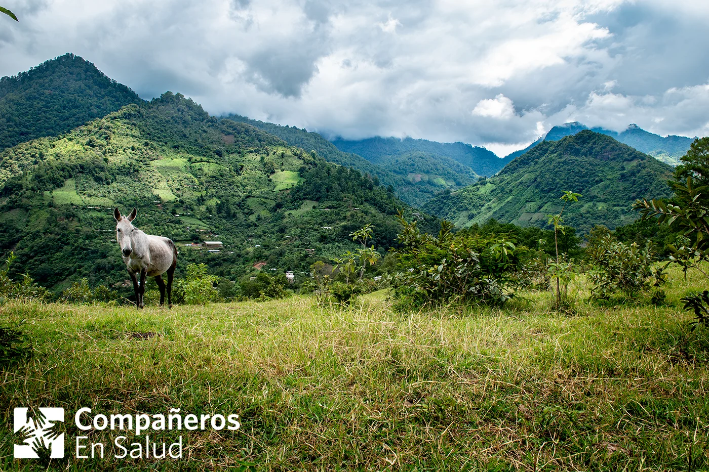 The rural community in the Sierra Madre region of Chiapas where Ernesto and his family live.