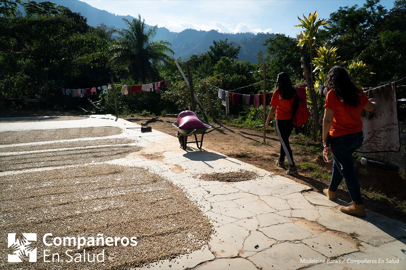 Foto: Berenice Morales Montoya y Xiomara Hinojosa, estudiantes de medicina, pasan delante del café (el cultivo principal de la zona) secándose en el sol durante la búsqueda activa. Los estudiantes participantes tuvieron la oportunidad de aprender sobre la ecología y economía de este cultivo, y su impacto en las vidas y la salud de la gente aquí. Aprendieron cómo la medicina social toma en cuenta el contexto socioeconómico en el cual viven los pacientes para brindarles la mejor atención médica posible.