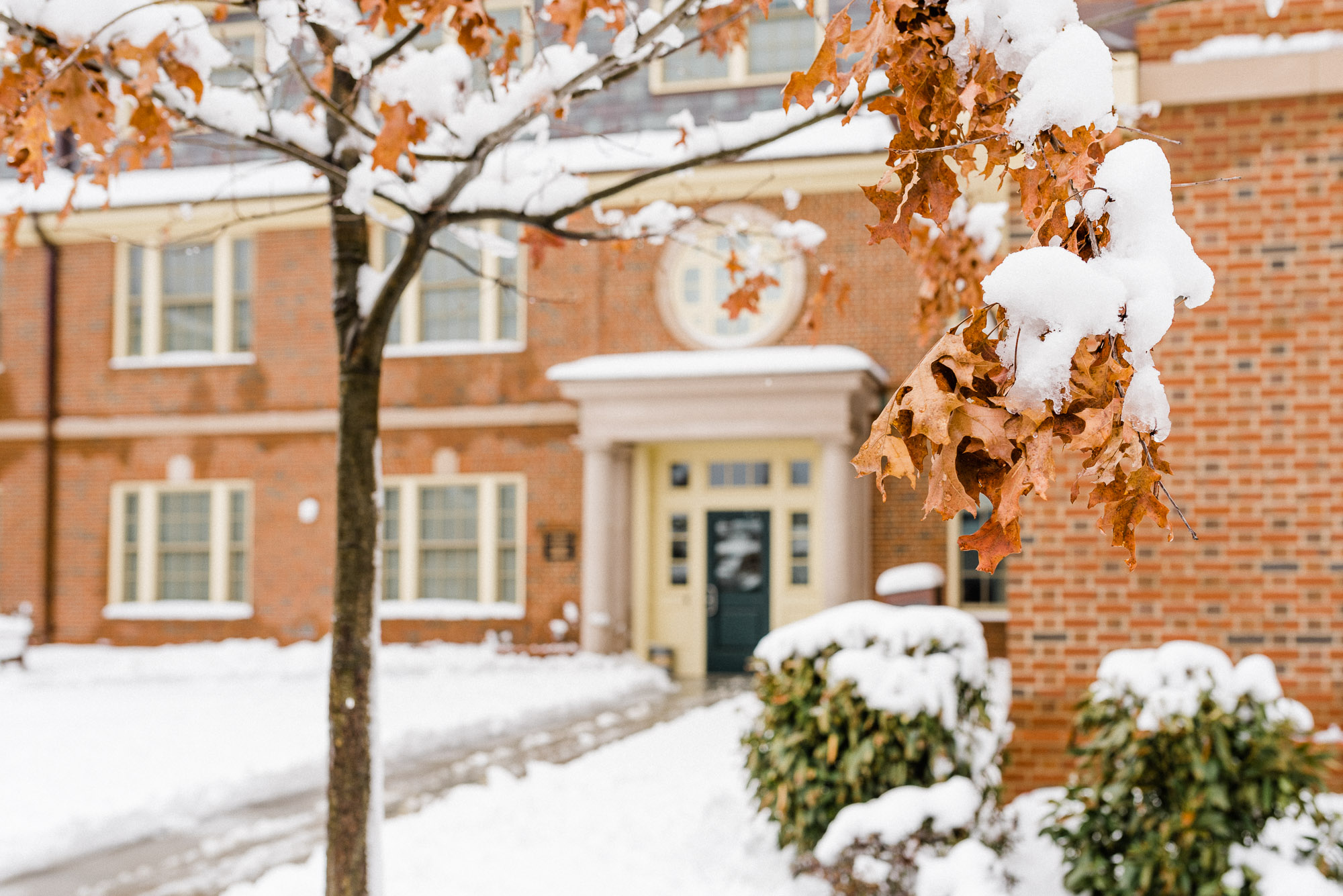 2018-03-08-COMM-JH-March-Snow-Storm-NS1_7902.jpg