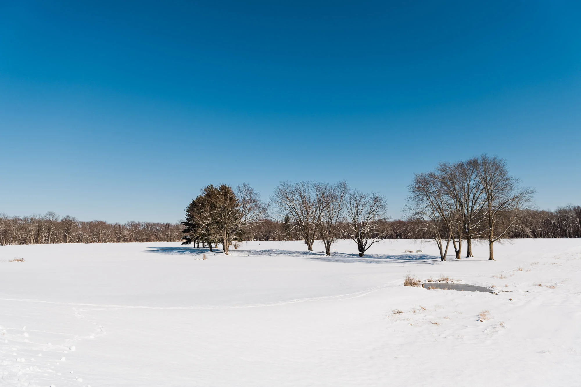 2019-01-30-COMM-JH-January-Snow-DSC_5504.jpg