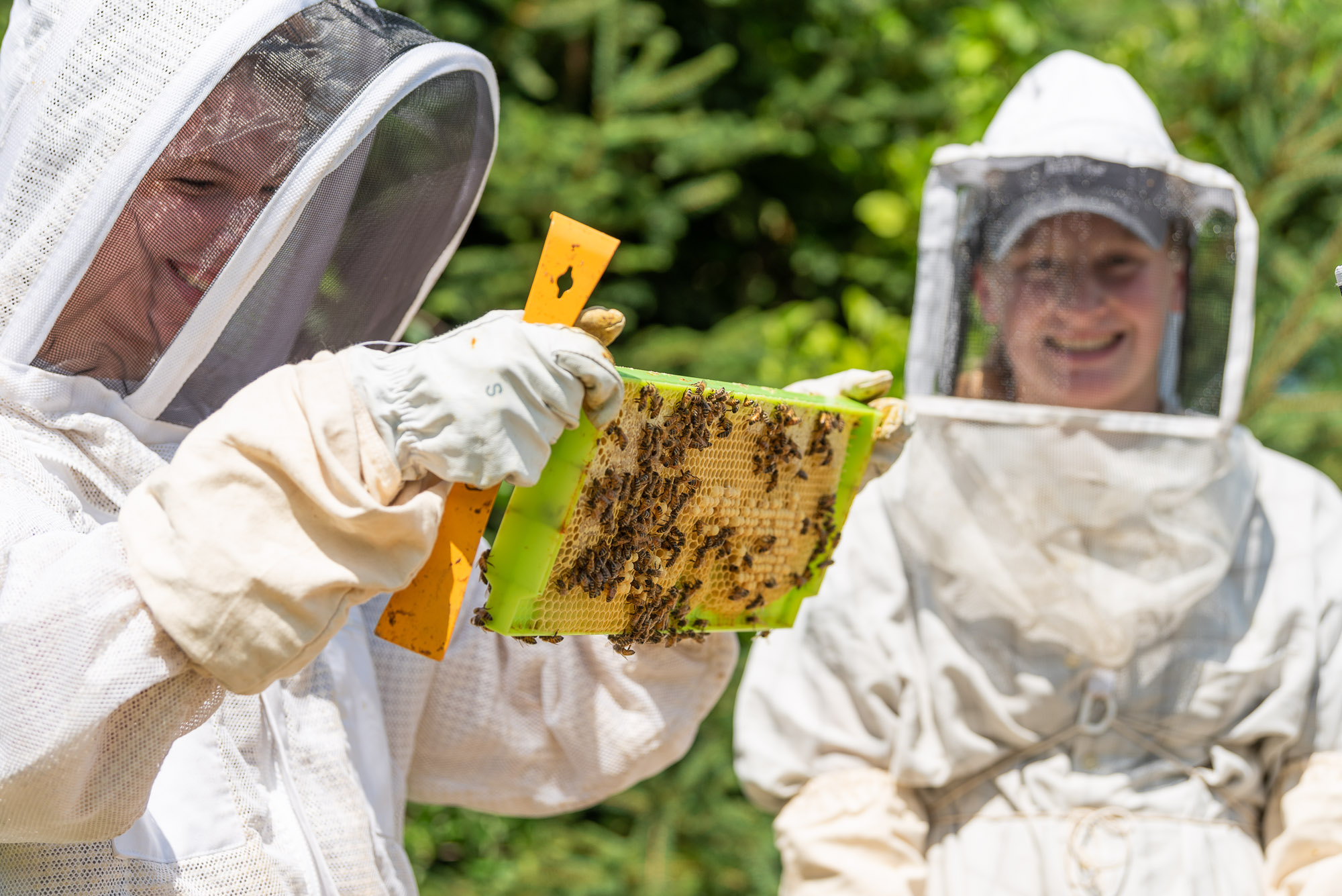 2018-08-09-COMM-JH-Ag-Program-Summer-Ag-Program-Honey-Bees-DSC_1283.jpg