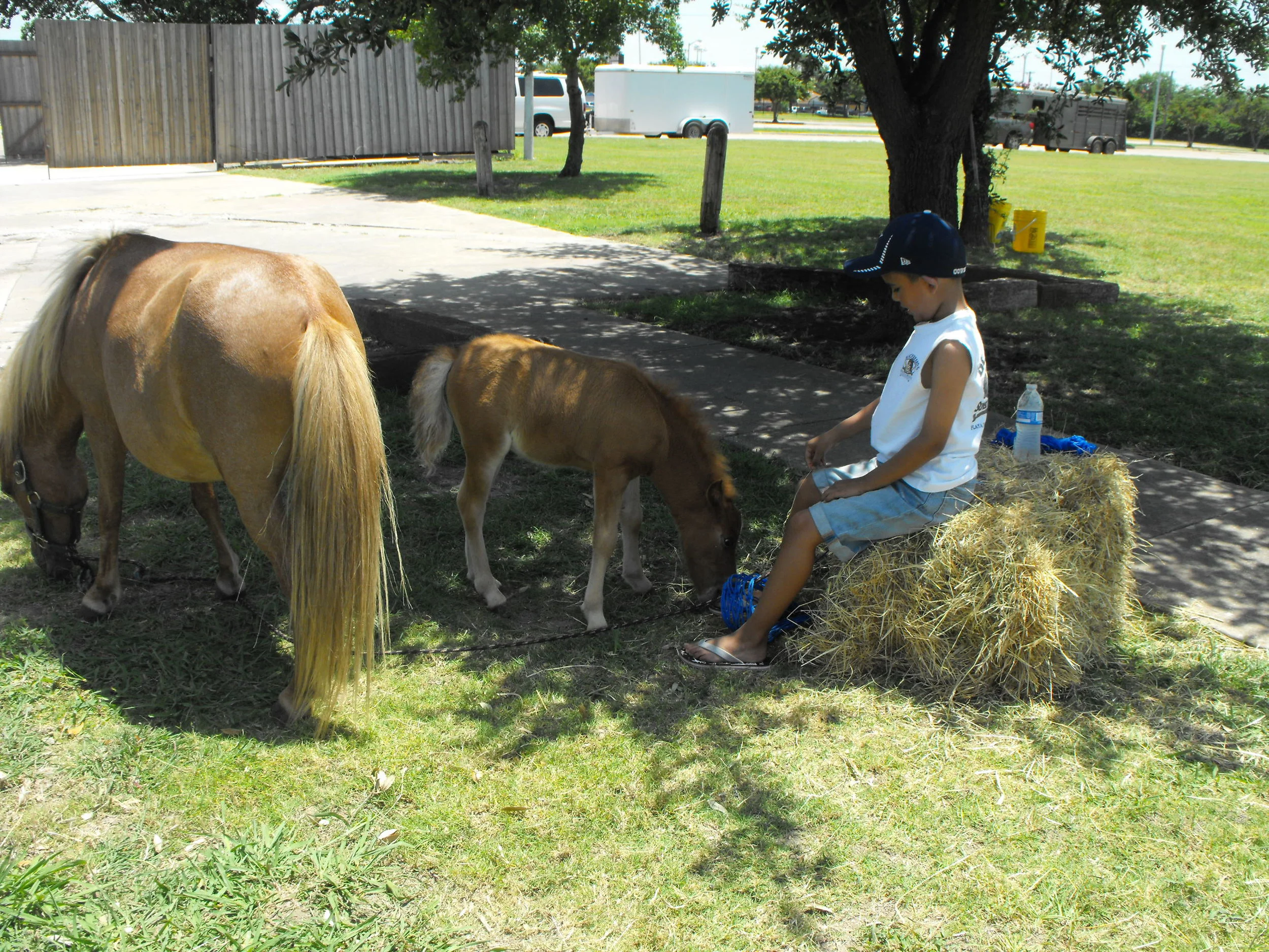 DSCF4518.JPG