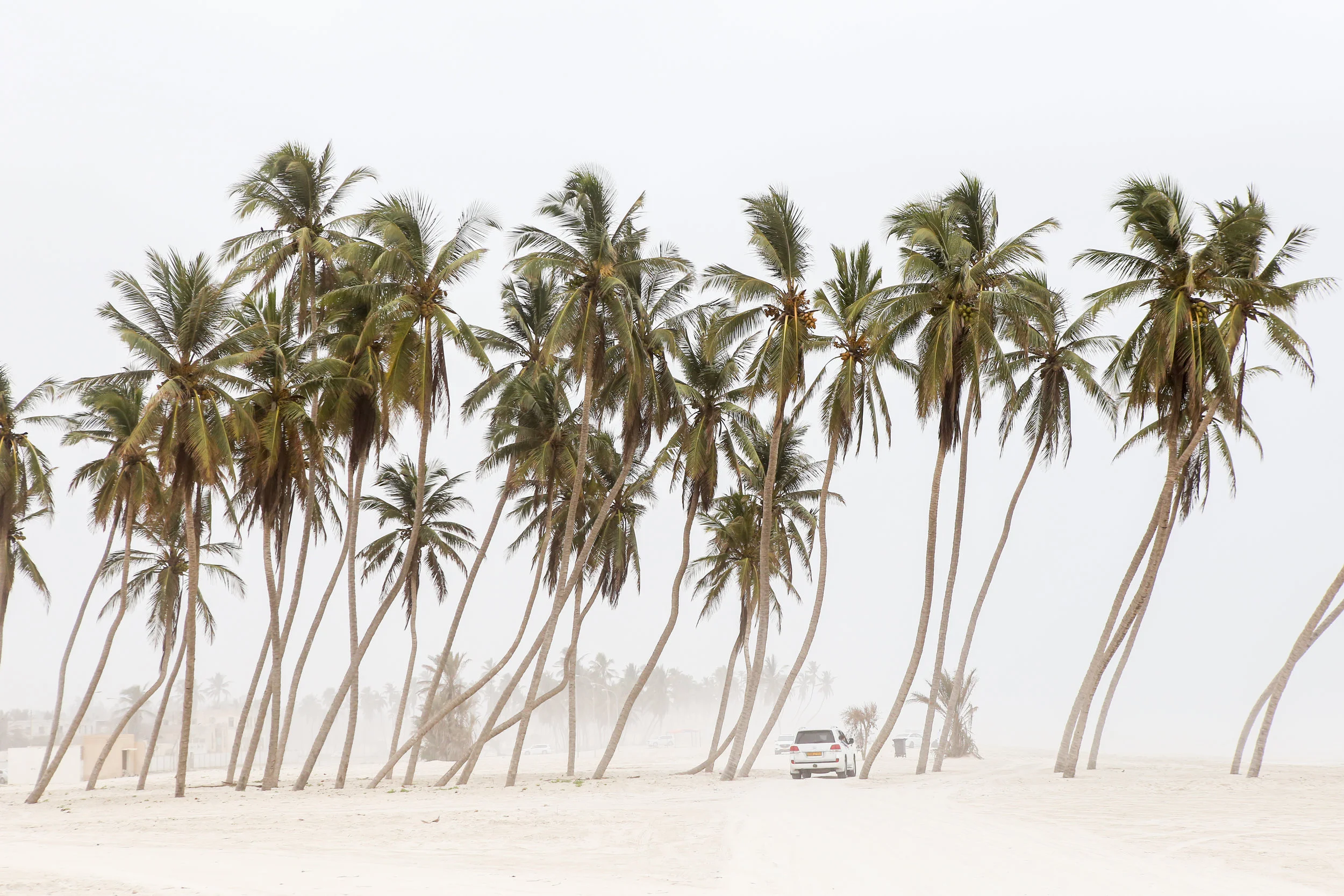 jenniferchase_travel040.jpg
