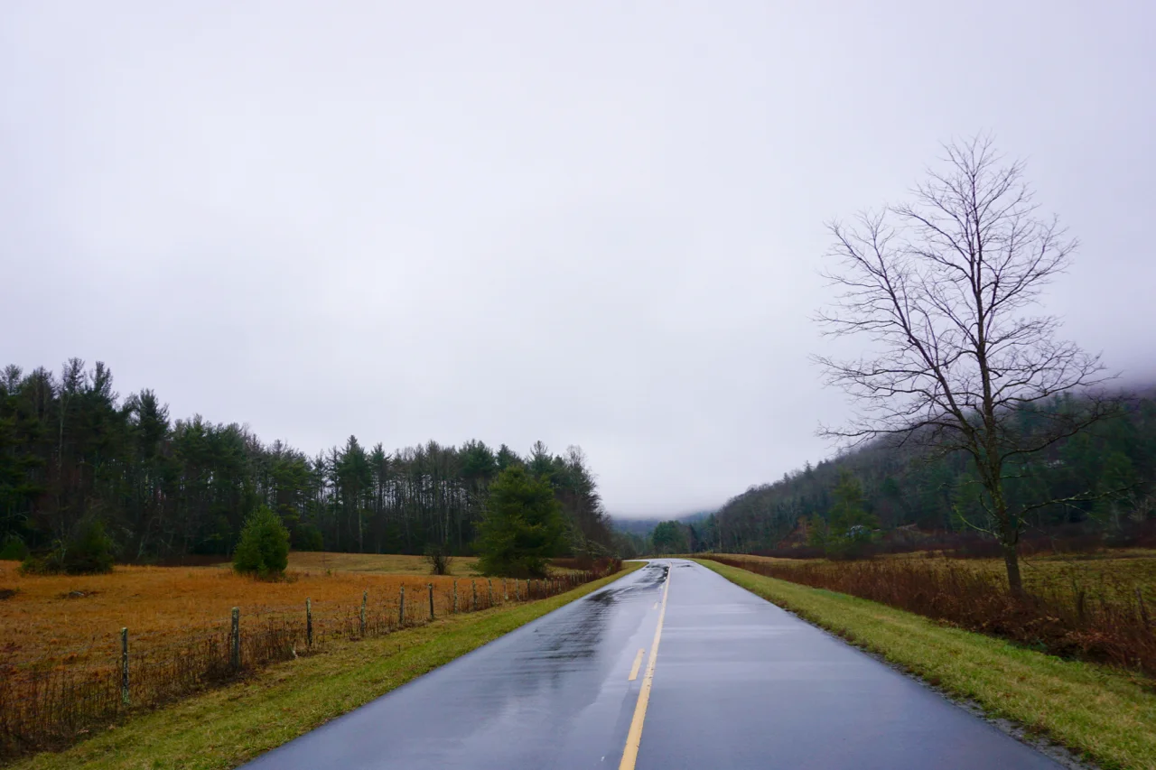 2016, The Year of the Roadtrip