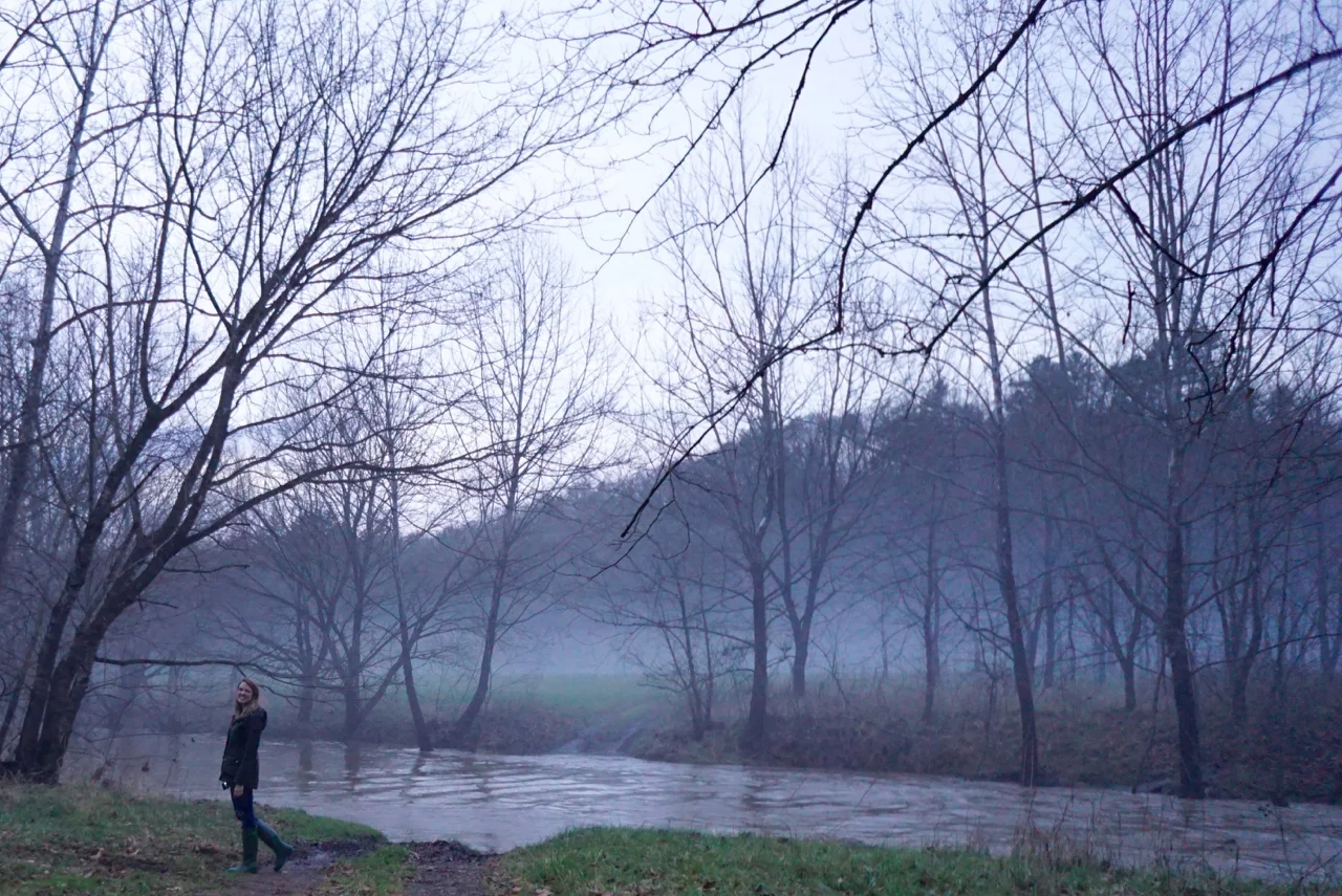 The Blue Ridge Parkway Photo Diary