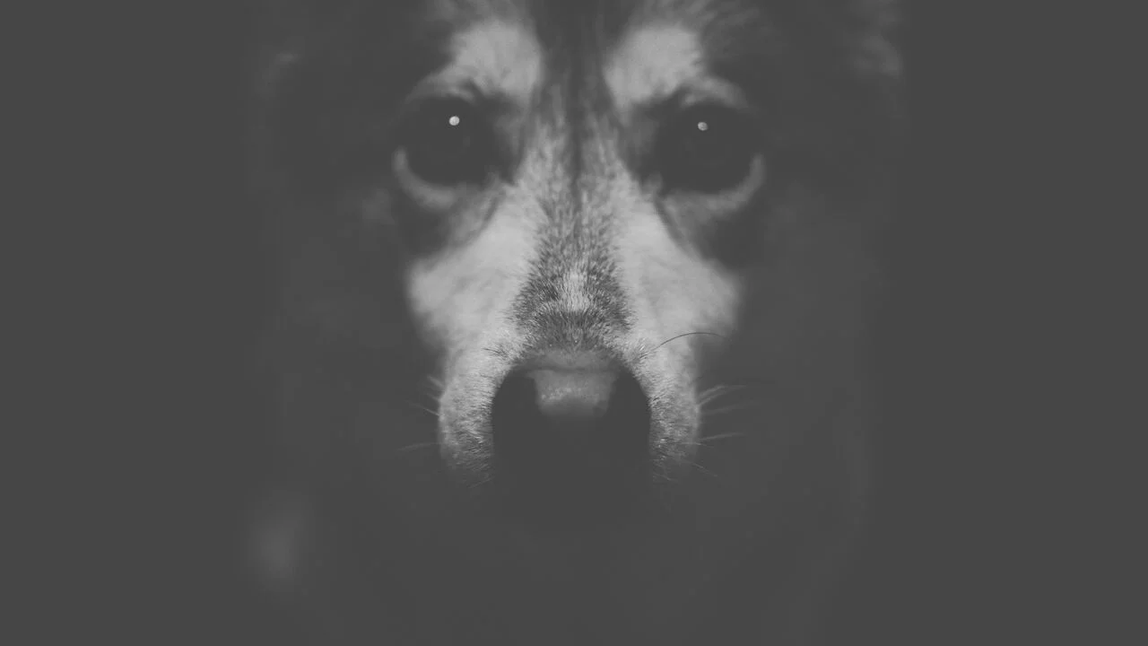 Fine Art