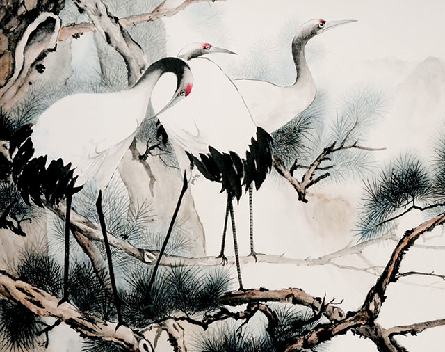 White Cranes.