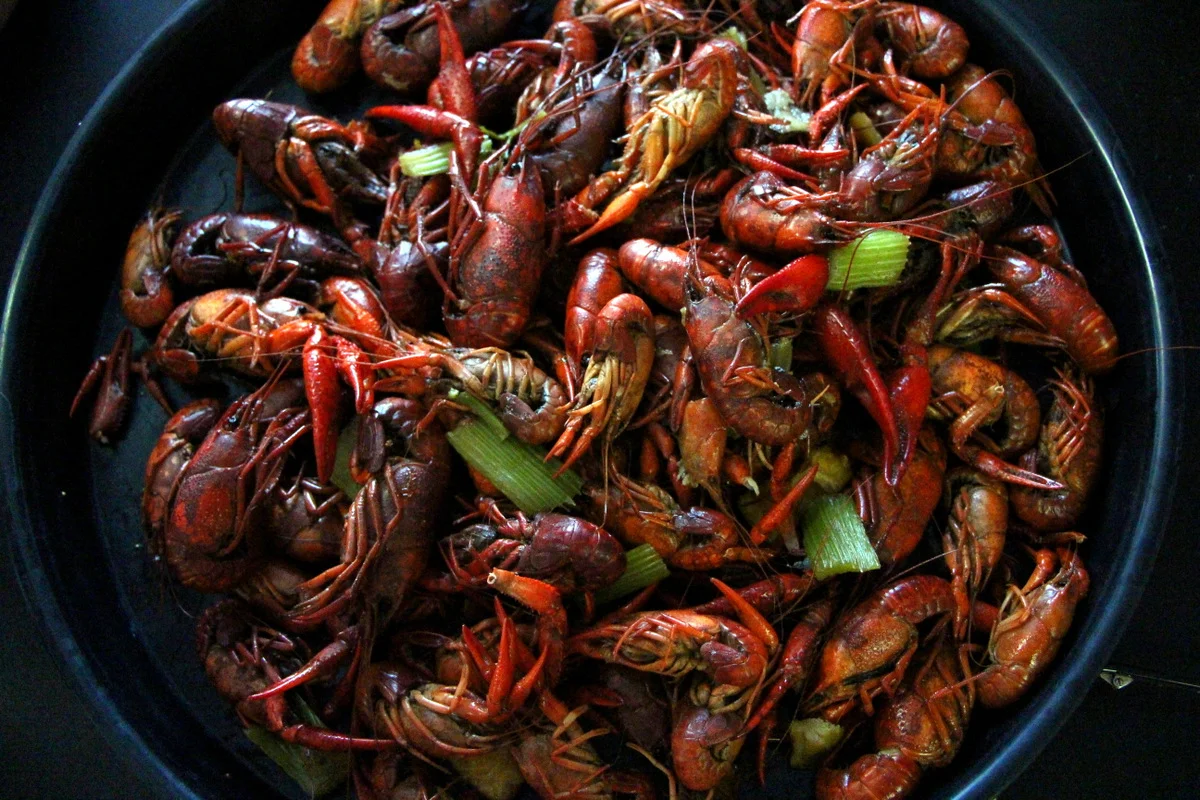 bevi-crawfish.jpg