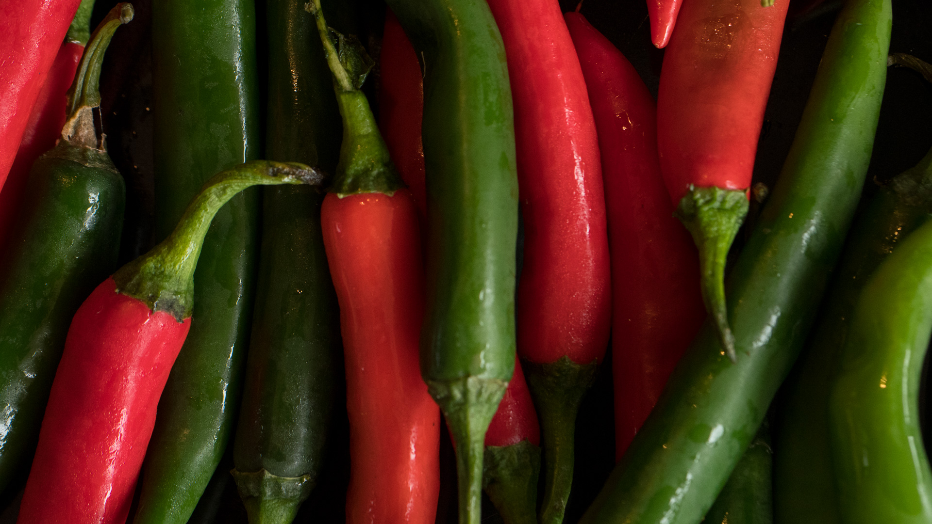 Chilli.jpg