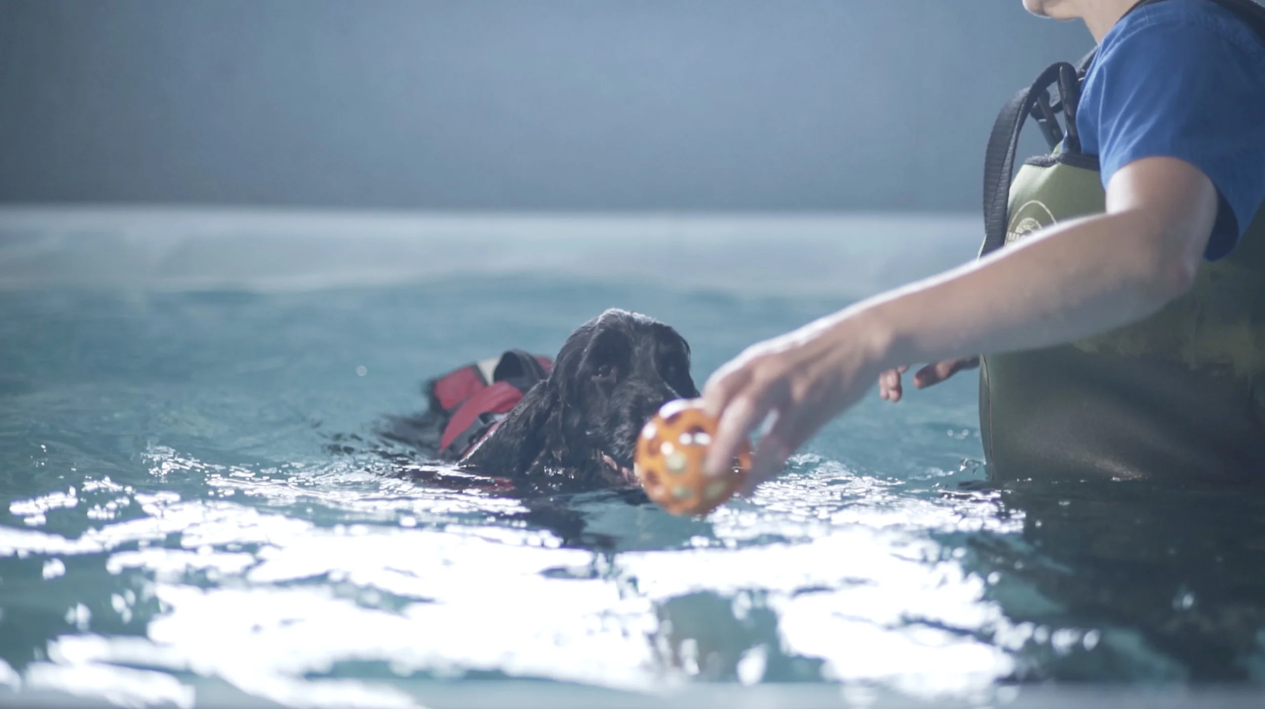 Aqua Hounds-22.jpg