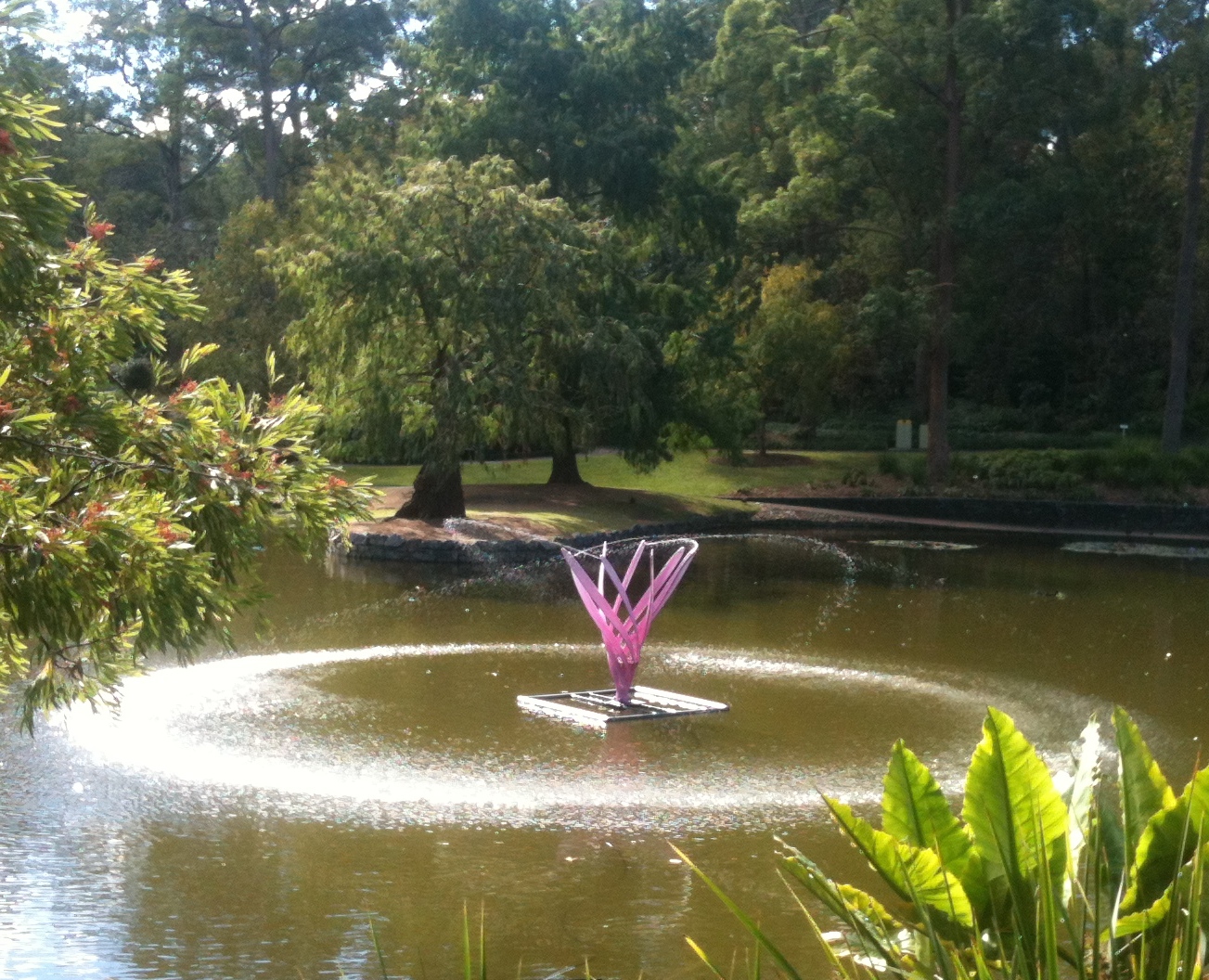 'Forces of Nature'