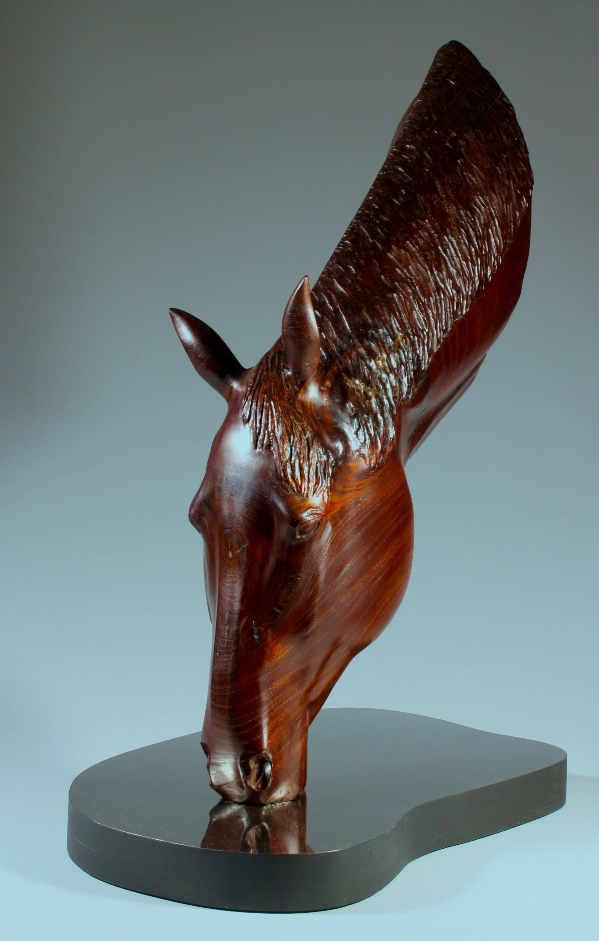 ‘Quenching his Thirst’ Wood: Australian red cedar Dimensions: 64x 30x45cm Artist Statement: The majesty of the horse, its power and intelligence are all reflected in its simple action of quenching his thirst.